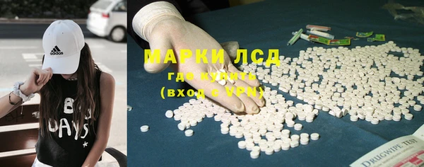 стаф Карталы
