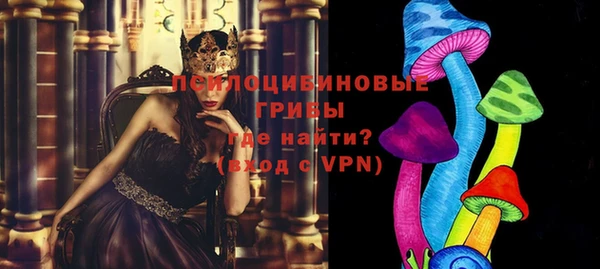 дживик Каменногорск