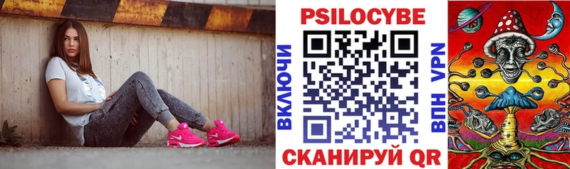 Купить  Абдулино  Псилоцибиновые грибы GOLDEN TEACHER 